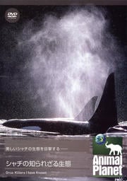 ˥ޥ롦ץͥå Τ줶