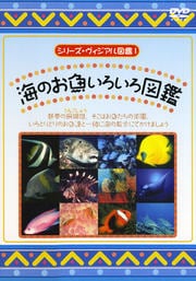 シリーズ・ヴィジアル図鑑 1 海のお魚いろいろ図鑑