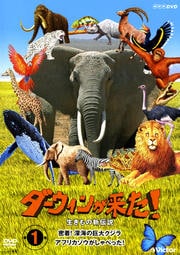 褿ο 1