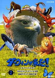 褿ο 2