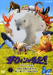 褿ο 3