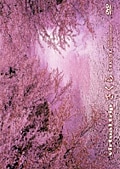 virtual trip さくら −第一章−