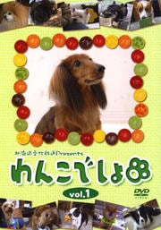 󤳤Ǥ vol.1