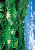 virtual trip  -Ĭο-