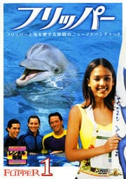 フリッパー 1