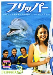 フリッパー 3