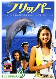 フリッパー 6