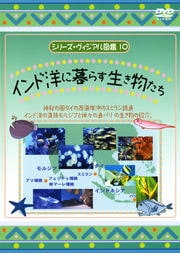 ꡼޴ 10 Τ餹ʪ