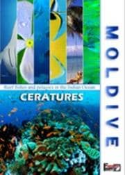 MOLDIVE CREATURES