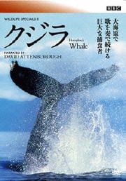 BBC ワイルドライフ・スペシャルII クジラ