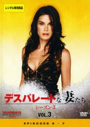 ǥѥ졼Ȥʺʤ 3 Vol.3