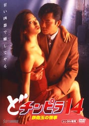 どチンピラ 14 鉄砲玉の情事