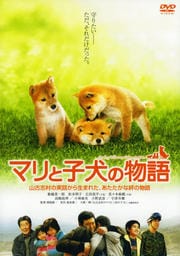 マリと子犬の物語