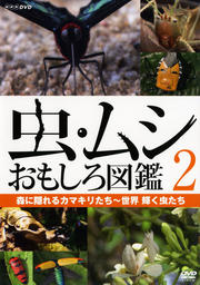 ॷ ⤷޴ 2 ˱륫ޥꤿ 
