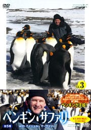 ペンギン・サファリ with ナイジェル・マーヴェン vol.3