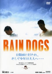 RAIN DOGS