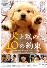 Ȼ10«
