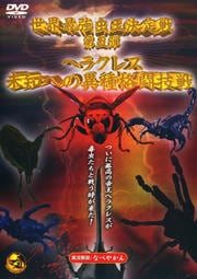 Ƕ  إ饯쥹̤ΤؤΰۼƮ