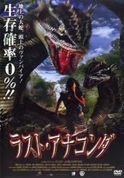 饹ȡʥ