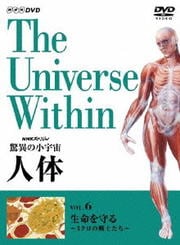 NHKڥ ðۤξ  6 ̿ ߥΤ