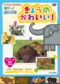 ダーウィンの動物大図鑑 はろ〜!あにまる きょうのかわいい! ラブリーな動物大集合 コアラ・カピバラ・アカカンガルー