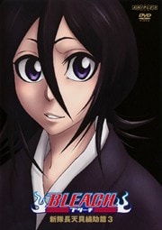 BLEACH Ĺŷ 3