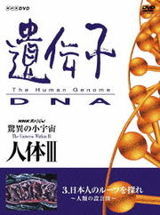 NHKスペシャル 驚異の小宇宙 人体III 遺伝子・DNA 第3集 日本人のルーツを探れ 〜人類の設計図〜
