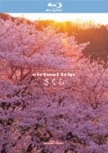 Blu-rayvirtual trip  nostalgia