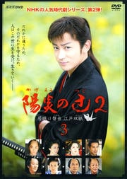 陽炎の辻2 居眠り磐音 江戸双紙 3