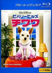 Blu-rayۥӥХ꡼ҥ륺 