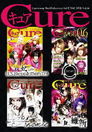 Japanesque Rock Collectionz Aid DVDCure Vol.6