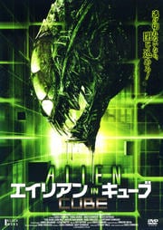 ꥢ IN 塼