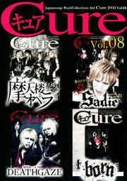 Japanesque Rock Collectionz Aid DVDCure Vol.8