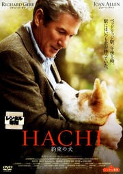 HACHI «θ
