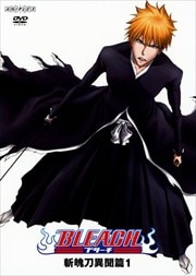 BLEACH ʹӡʥ˥