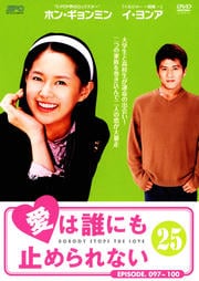 愛は誰にも止められない 25
