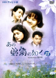 あの野菊の如く 28