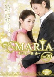 ダンディーとわたし 本田美奈子 本田美奈子 映画の宅配dvdレンタルならgeo ダンディーとわたし 本田美奈子 本田美奈子 映画の宅配dvdレンタルならgeo