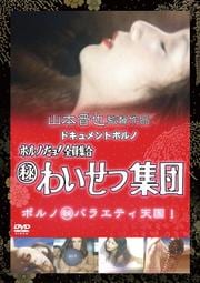 ドキュメントポルノ ポルノだよ!全員集合秘わいせつ集団