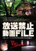 ػưFILE Vol.1 ġåǤĤ֤䤫줿Τư褬