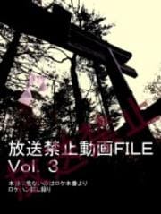 ػưFILE Vol.3 ѥȥͥǲäΤ