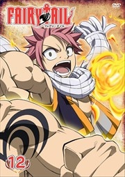 FAIRY TAIL 12