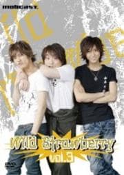 Wild Strawberry Vol.3