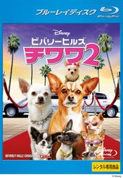 Blu-rayۥӥХ꡼ҥ륺 2