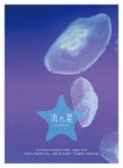 流れ星 完全版 vol.3
