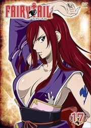 FAIRY TAIL 17