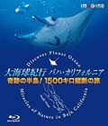 【Blu-ray】大海球紀行バハ・カリフォルニア -奇跡の半島!1500キロ縦断の旅-