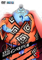 ONE PIECE ԡ 13th ڥ R-5