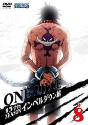 ONE PIECE ԡ 13th ڥ R-8