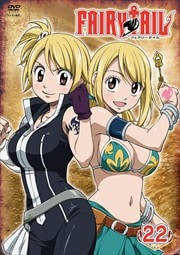 FAIRY TAIL 22